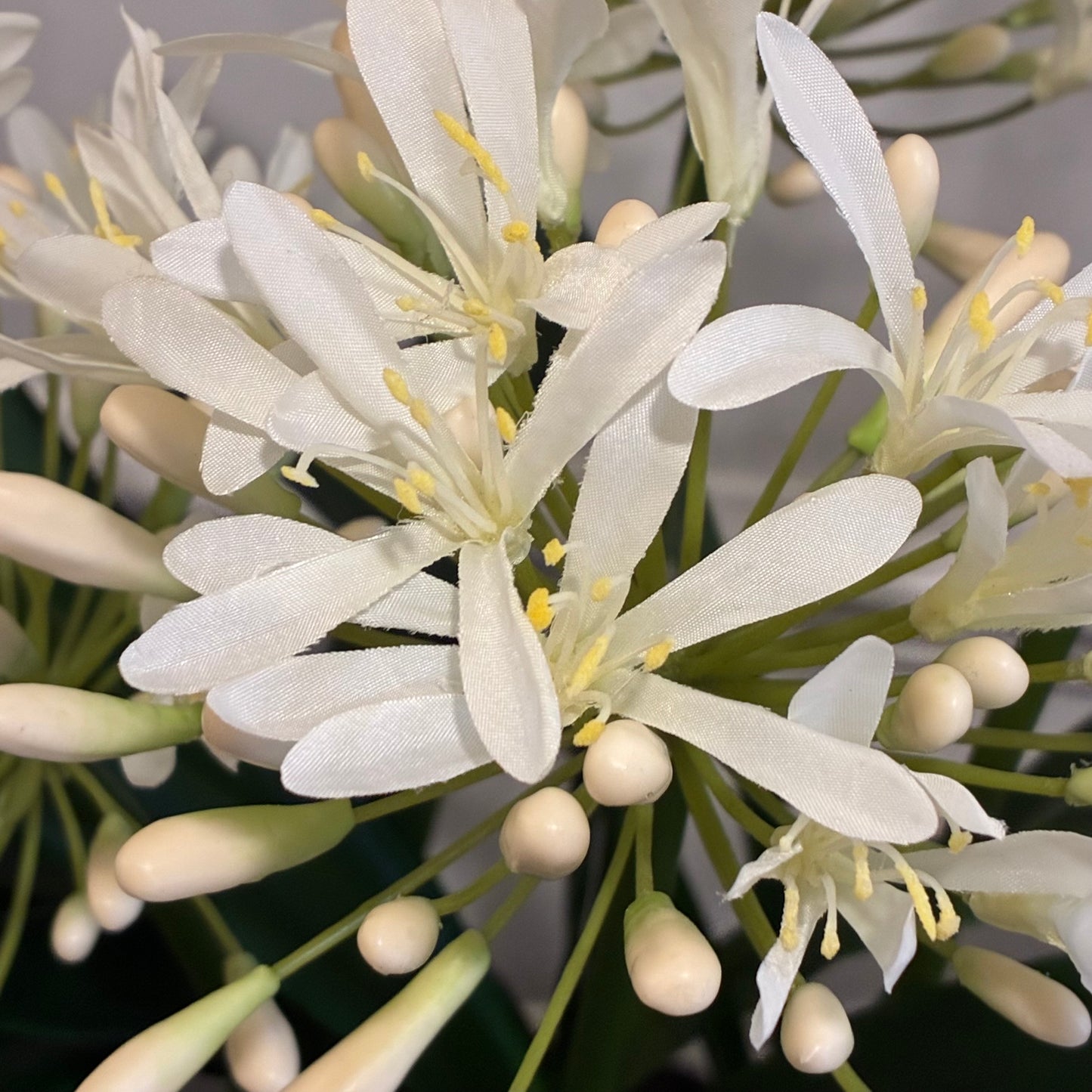 White Agapanthus Arrangement in Rustic Glazed Bowl