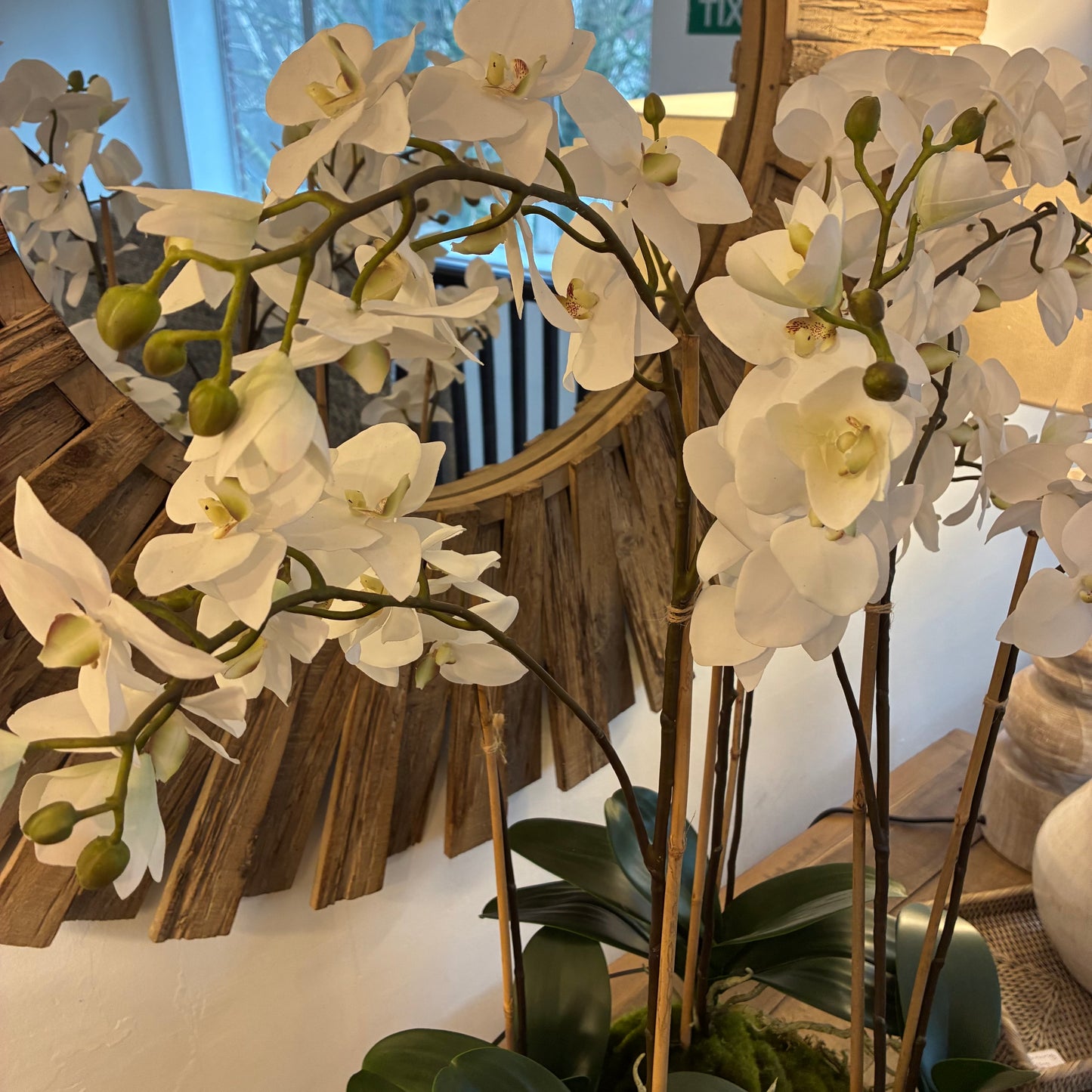 Elegant White Orchid in Glass Bowl