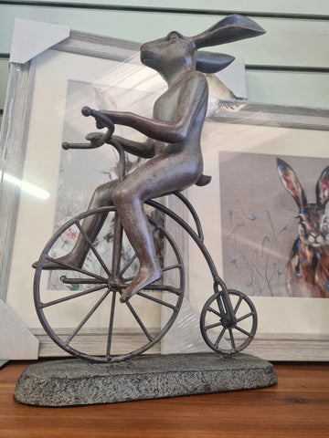 Grey hare riding a penny farthing