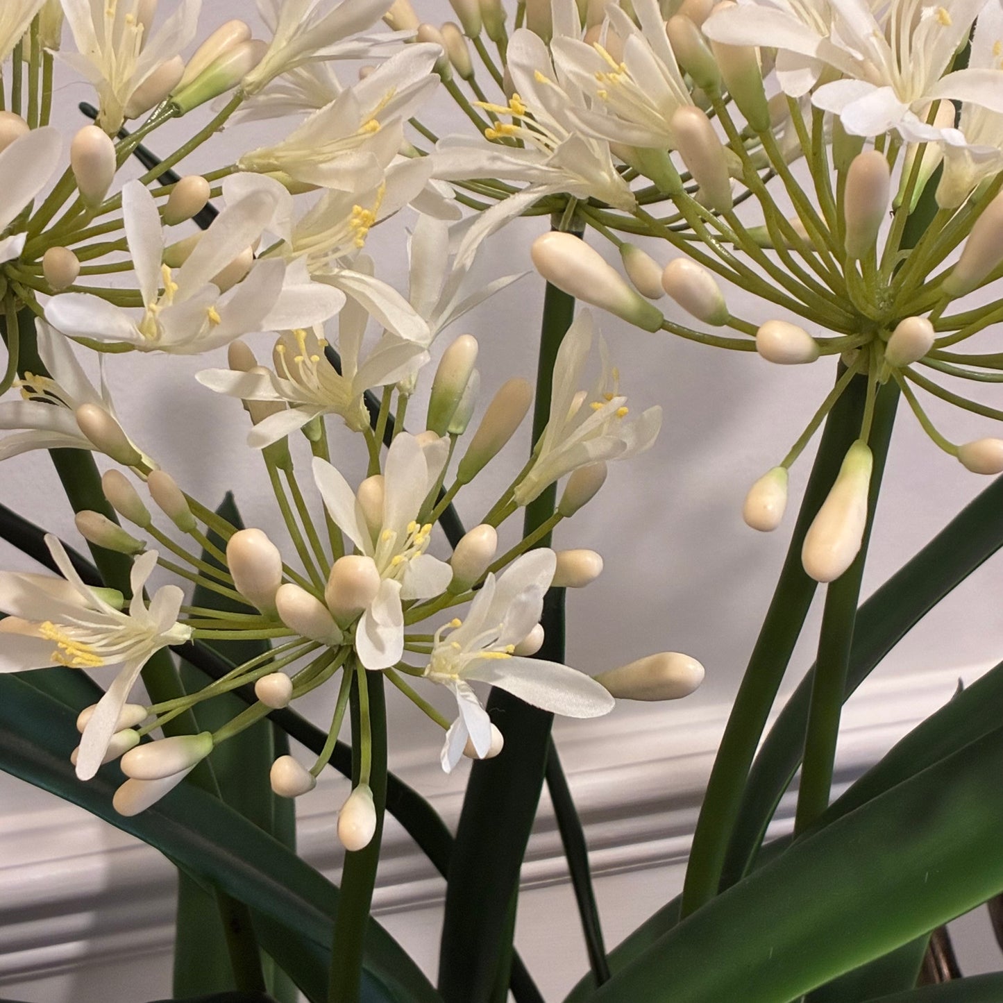 White Agapanthus Arrangement in Rustic Glazed Bowl