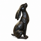 Moongazing Hare
