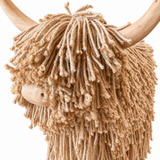 Standing Highland Cow