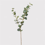 Natural Eucalyptus